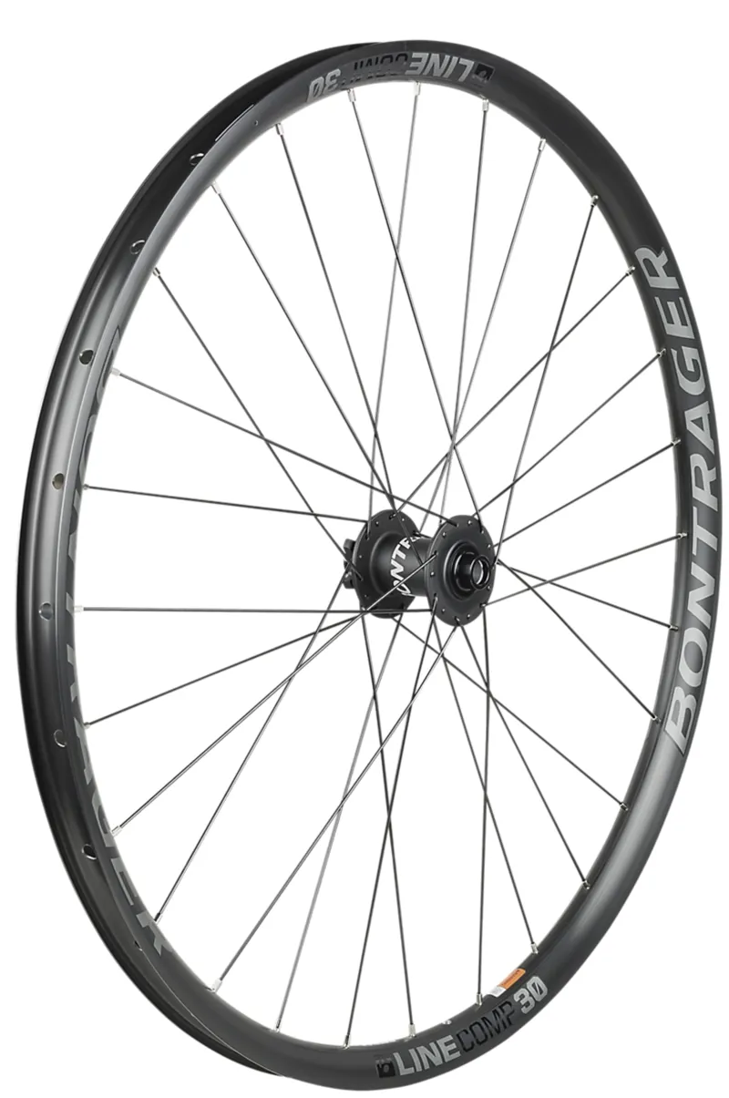 Bontrager Line Comp 30 TLR Non-Boost 29er MTB Wheel Black/Silver-1